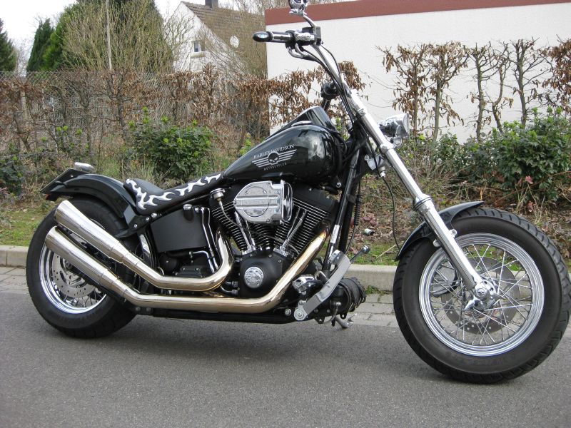 Harley Davidson - Softail